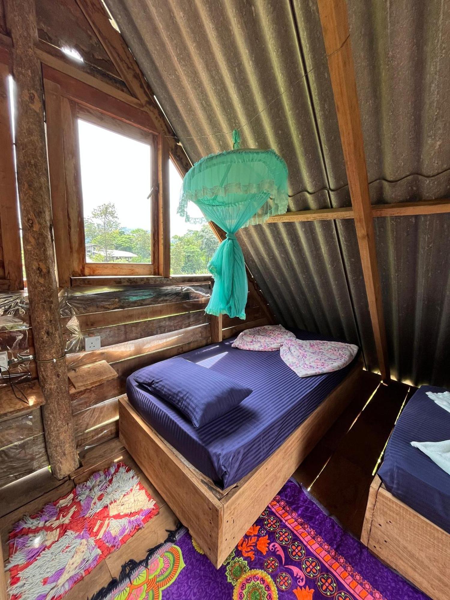 छात्रावास Backpackers *