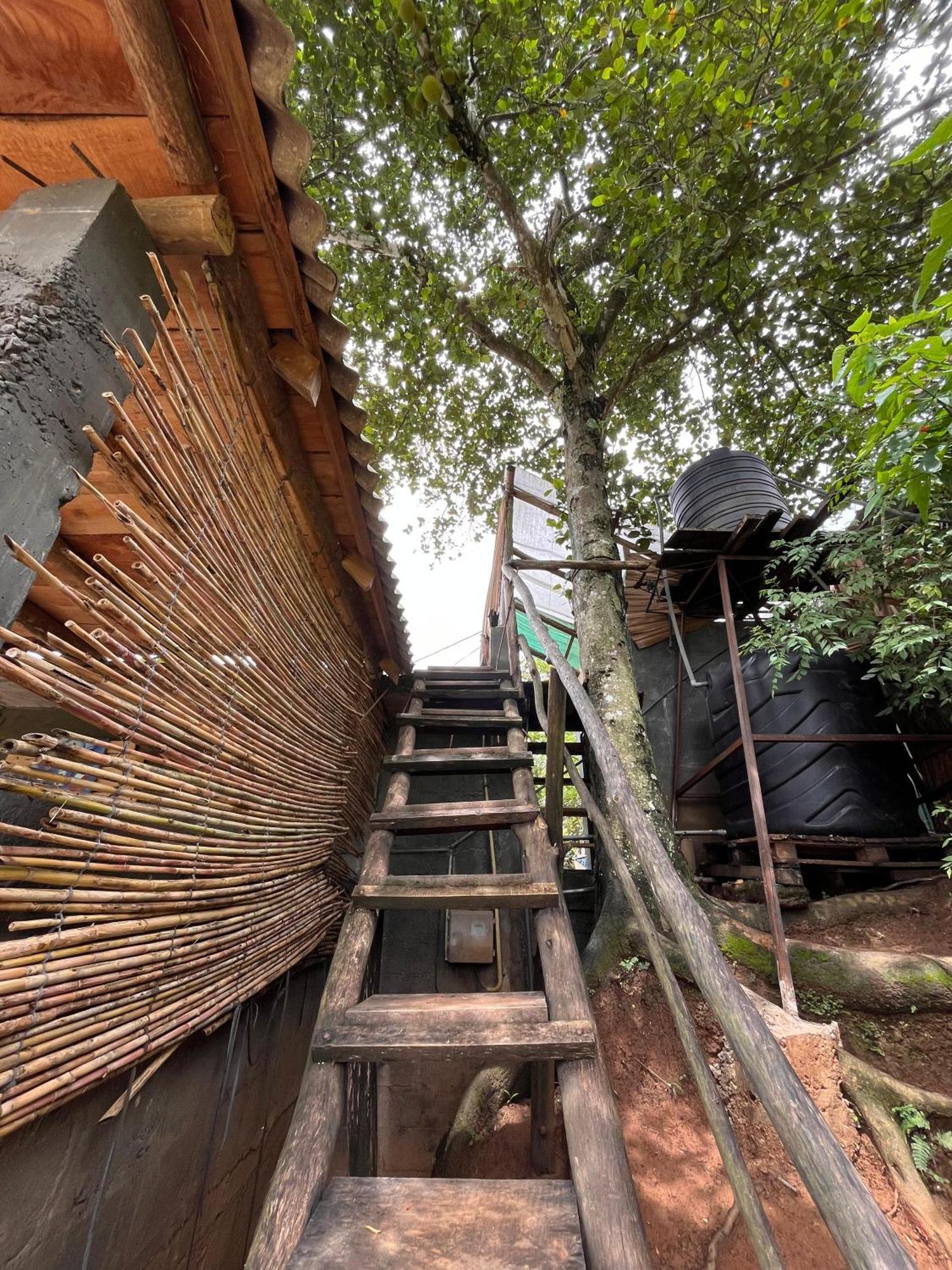 छात्रावास Backpackers